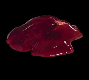 Foie